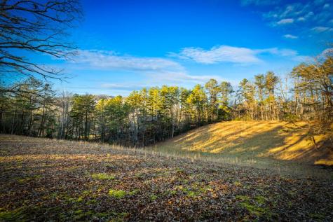 178 Arp Road Mineral Bluff GA 30559