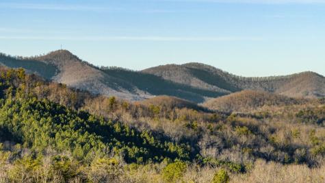 178 Arp Road Mineral Bluff GA 30559