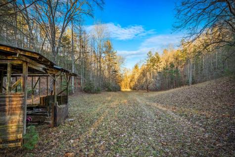 178 Arp Road Mineral Bluff GA 30559