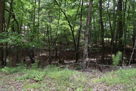 L2021+22 Garnet Drive Ellijay GA 30540