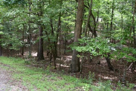 L2021+22 Garnet Drive Ellijay GA 30540