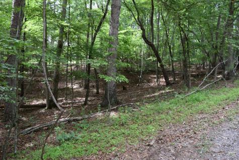 L2021+22 Garnet Drive Ellijay GA 30540