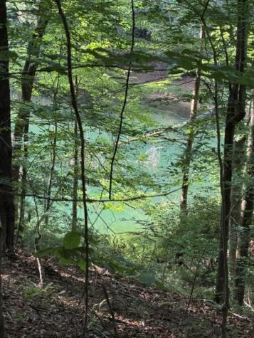 Lot 37 Quiet Waters Murphy NC 28906