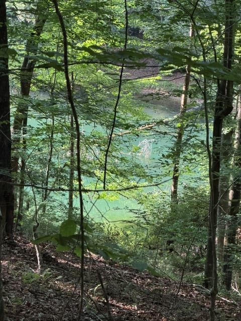 Lot 37 Quiet Waters Murphy NC 28906