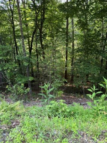 Lot 37 Quiet Waters Murphy NC 28906
