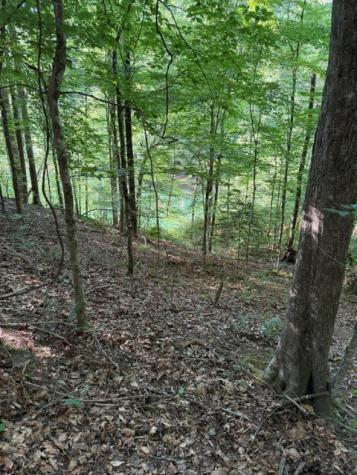 Lot 37 Quiet Waters Murphy NC 28906