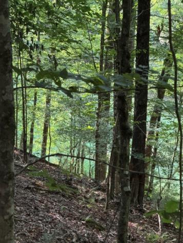 Lot 37 Quiet Waters Murphy NC 28906