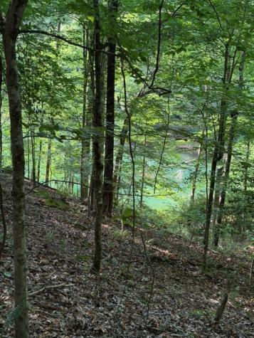 Lot 37 Quiet Waters Murphy NC 28906