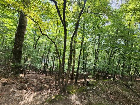 19B/2545 Frigate Drive Ellijay GA 30540