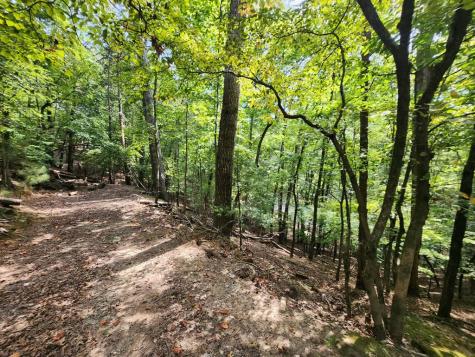 19B/2545 Frigate Drive Ellijay GA 30540