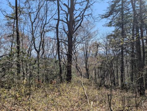 Track 1&2 Kimsey Mountain Highway Turtletown TN 37391