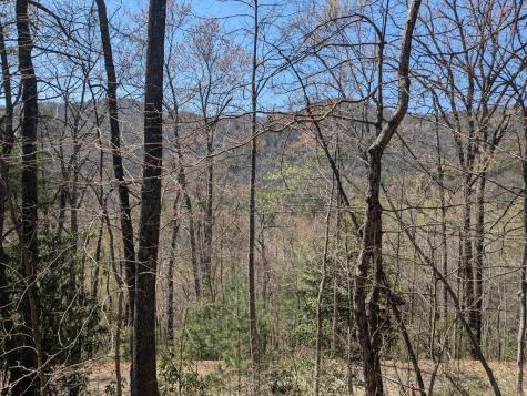 Track 1&2 Kimsey Mountain Highway Turtletown TN 37391