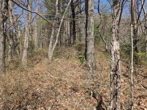 Track 1&2 Kimsey Mountain Highway Turtletown TN 37391