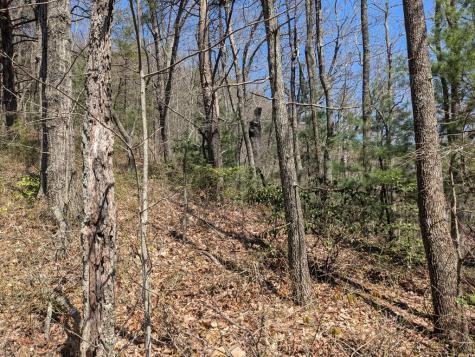 Track 1&2 Kimsey Mountain Highway Turtletown TN 37391