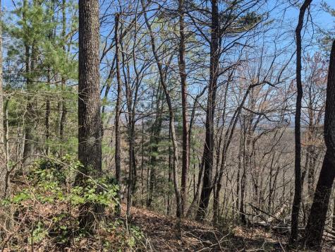 Track 1&2 Kimsey Mountain Highway Turtletown TN 37391