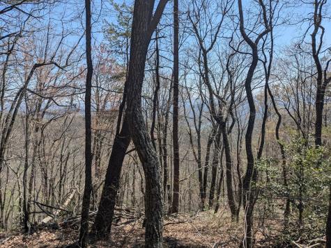 Track 1&2 Kimsey Mountain Highway Turtletown TN 37391