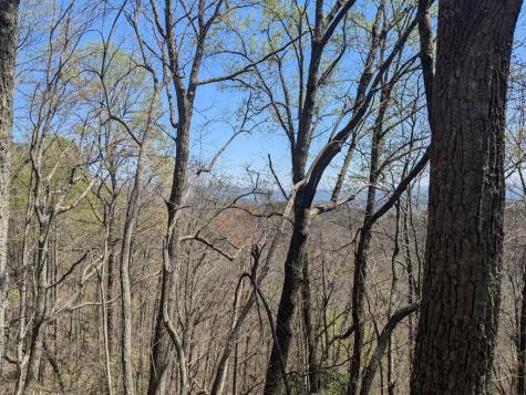 Track 1&2 Kimsey Mountain Highway Turtletown TN 37391