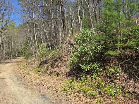 Track 1&2 Kimsey Mountain Highway Turtletown TN 37391