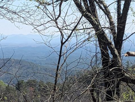Track 1&2 Kimsey Mountain Highway Turtletown TN 37391