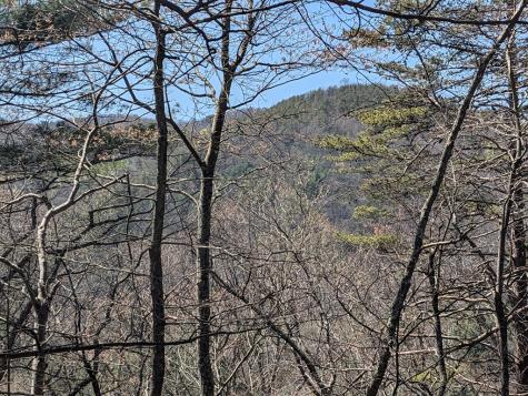 Track 1&2 Kimsey Mountain Highway Turtletown TN 37391