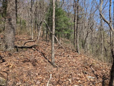 Track 1&2 Kimsey Mountain Highway Turtletown TN 37391