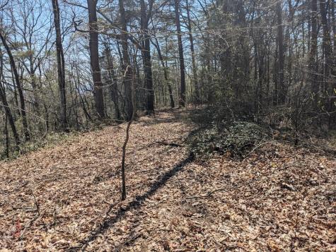 Track 1&2 Kimsey Mountain Highway Turtletown TN 37391