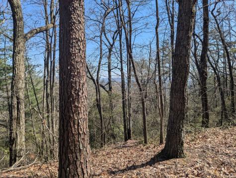 Track 1&2 Kimsey Mountain Highway Turtletown TN 37391