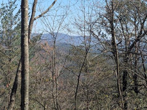 Track 1&2 Kimsey Mountain Highway Turtletown TN 37391