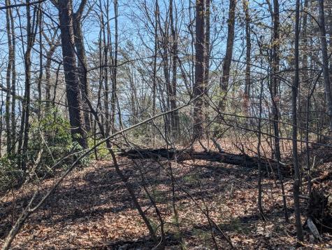 Track 1&2 Kimsey Mountain Highway Turtletown TN 37391