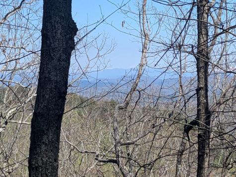 Track 1&2 Kimsey Mountain Highway Turtletown TN 37391