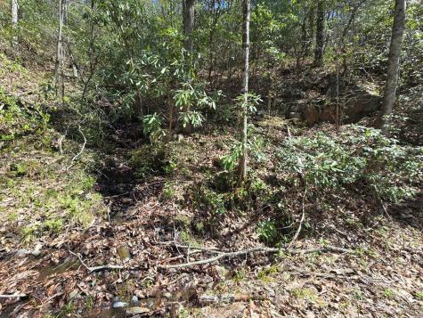 Track 1&2 Kimsey Mountain Highway Turtletown TN 37391