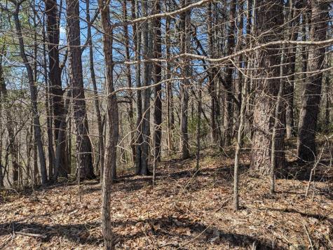 Track 1&2 Kimsey Mountain Highway Turtletown TN 37391