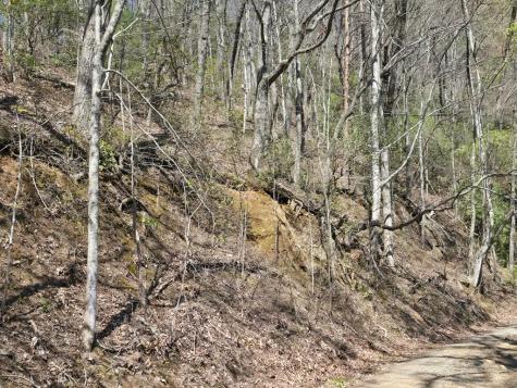 Track 1&2 Kimsey Mountain Highway Turtletown TN 37391
