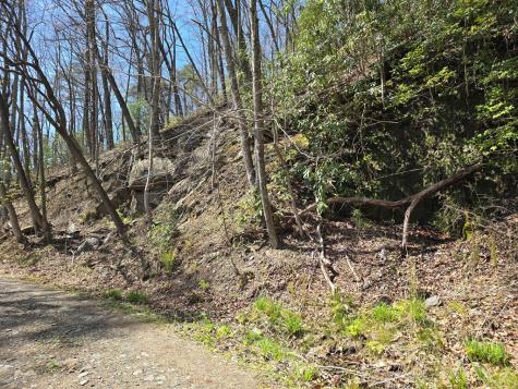 Track 1&2 Kimsey Mountain Highway Turtletown TN 37391