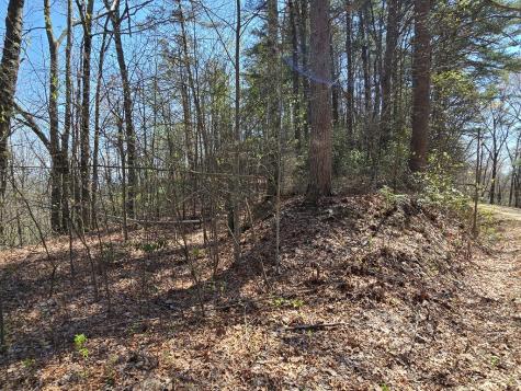 Track 1&2 Kimsey Mountain Highway Turtletown TN 37391
