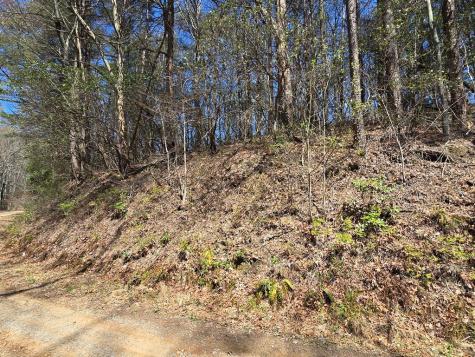 Track 1&2 Kimsey Mountain Highway Turtletown TN 37391