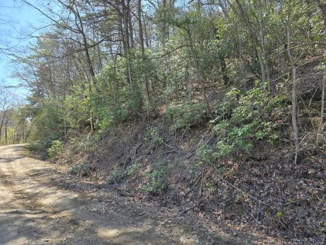Track 1&2 Kimsey Mountain Highway Turtletown TN 37391