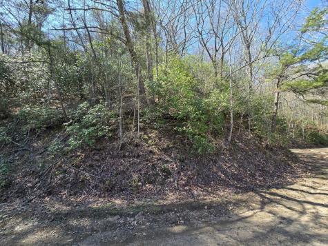 Track 1&2 Kimsey Mountain Highway Turtletown TN 37391