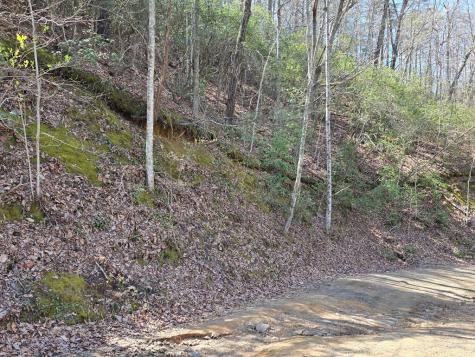 Track 1&2 Kimsey Mountain Highway Turtletown TN 37391