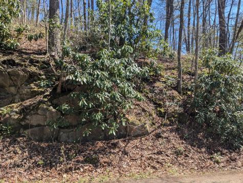 Track 1&2 Kimsey Mountain Highway Turtletown TN 37391