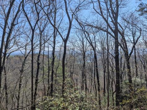 Track 1&2 Kimsey Mountain Highway Turtletown TN 37391