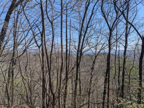 Track 1&2 Kimsey Mountain Highway Turtletown TN 37391