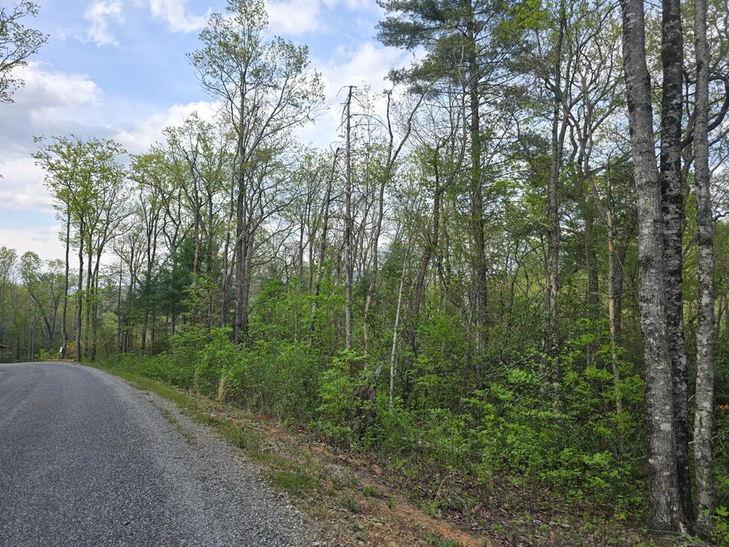 Lot 10 Kennedys Court Blairsville GA 30512