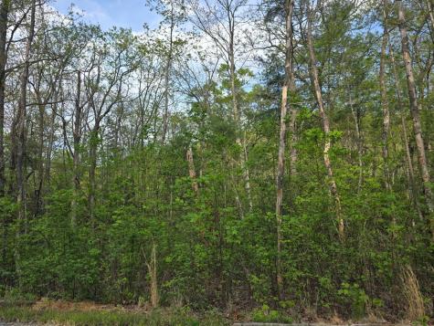 Lot 10 Kennedys Court Blairsville GA 30512