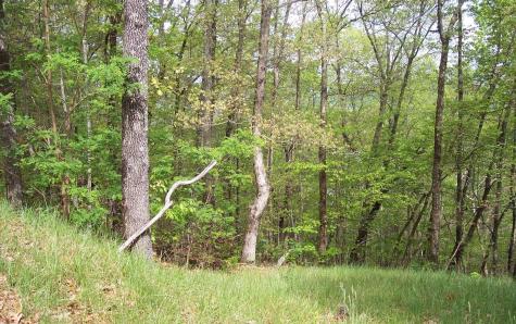 24 Coyote Cove Hayesville NC 28904