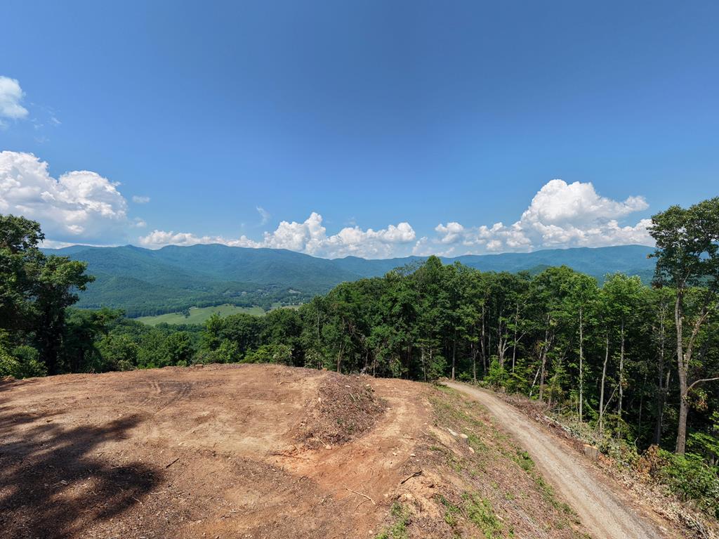 Lot 125 Shiloh Drive Hayesville NC 28904