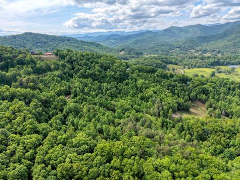 Lot 125 Shiloh Drive Hayesville NC 28904
