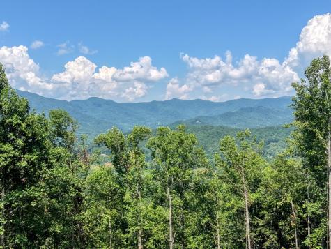Lot 125 Shiloh Drive Hayesville NC 28904
