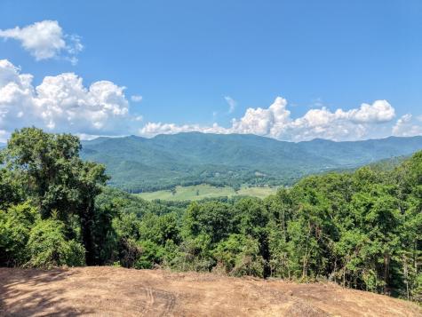 Lot 125 Shiloh Drive Hayesville NC 28904