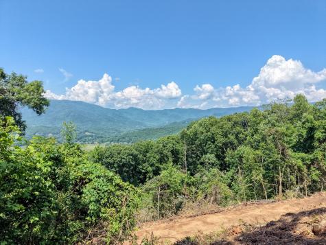 Lot 125 Shiloh Drive Hayesville NC 28904